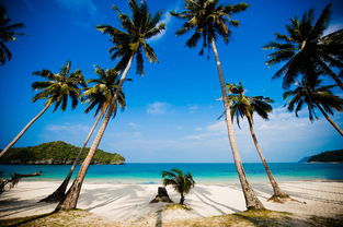 海口6天快乐休闲游