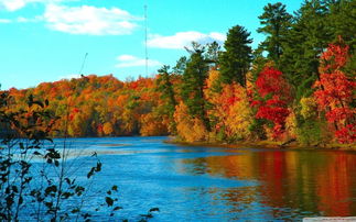 林芝.雅鲁藏布大峡谷.措木及日.鲁朗林海.拉萨.羊湖飞卧9日