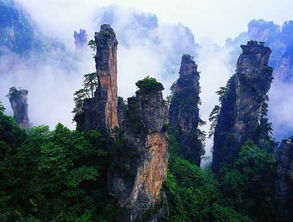 长沙、韶山、张家界、哈利亚路山、天门山、玻璃栈道、凤凰古城7日游