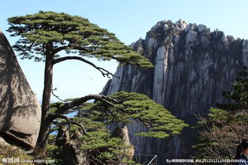 黄山、黄山漂流、宏村、芙蓉谷、顶级秀《阿菊》纯玩超值三日游