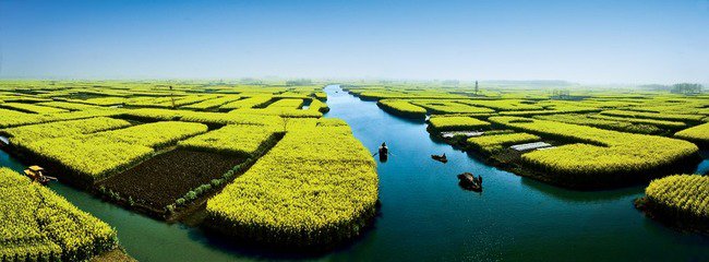     兴化李中水上森林公园、盐都一日游 