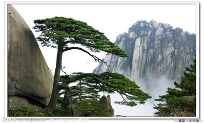 【寻梦徽州】    东海大峡谷••黄山•归园三日游
