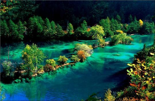 成都-都江堰/灌县古城-黄龙-九寨沟6日游 