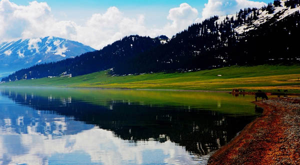 寻疆记--天吐喀双飞8日深度游